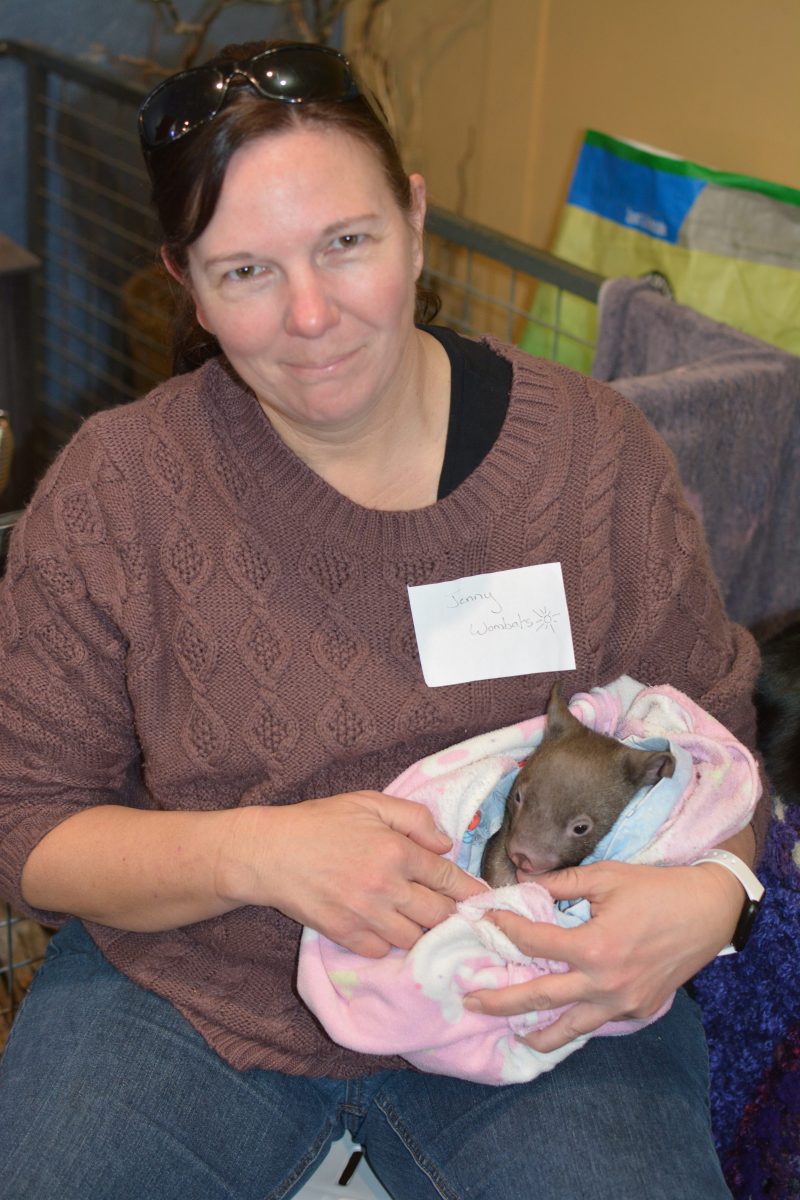 Jenny Williams has raised many wombats over the years