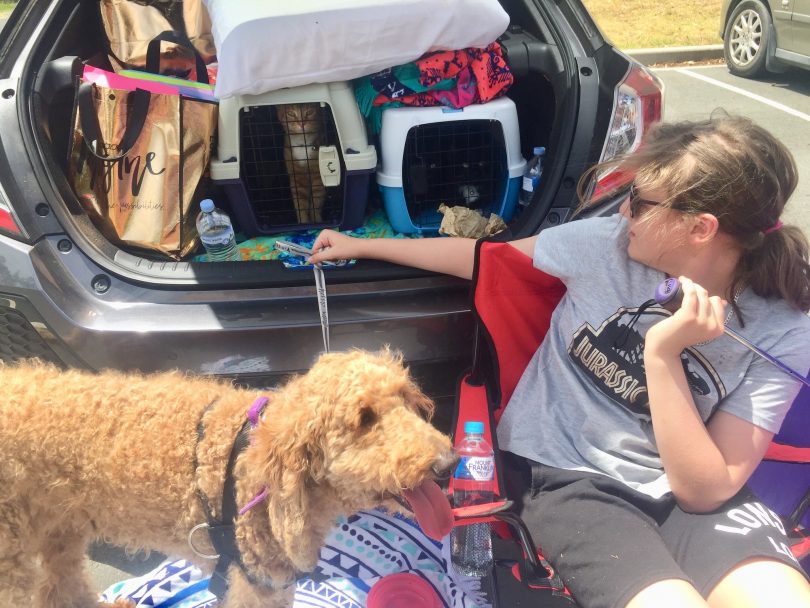 Evacuees with cats and dogs