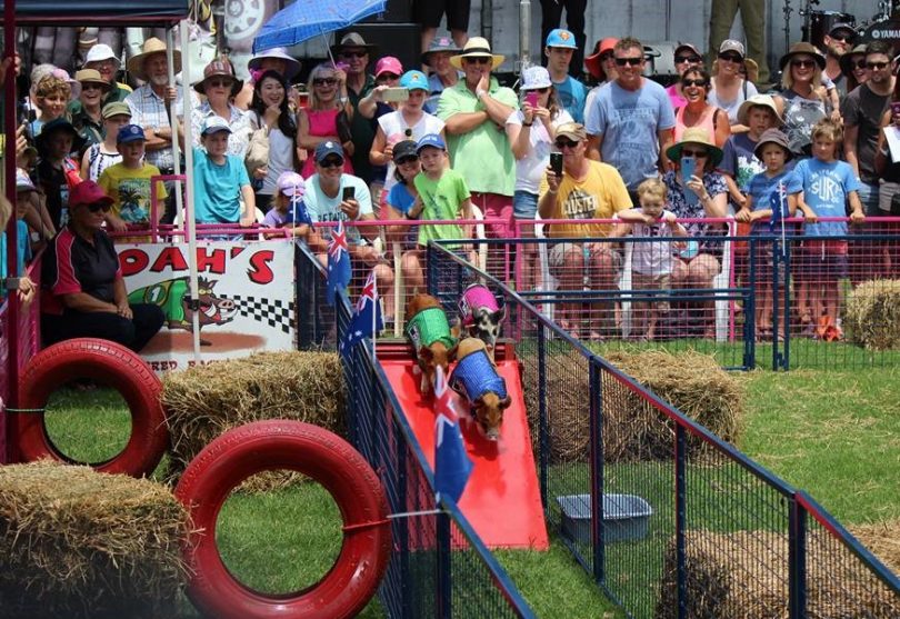 It's on again! Tathra Lions Club's annual fundraiser, held at the Tathra Country Club. Photo: Supplied. 