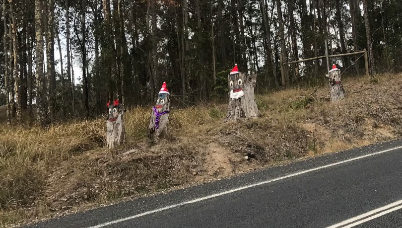 Stumpy Family in the Christmas spirit