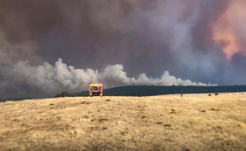 Bendoc, south of Tumbarumba