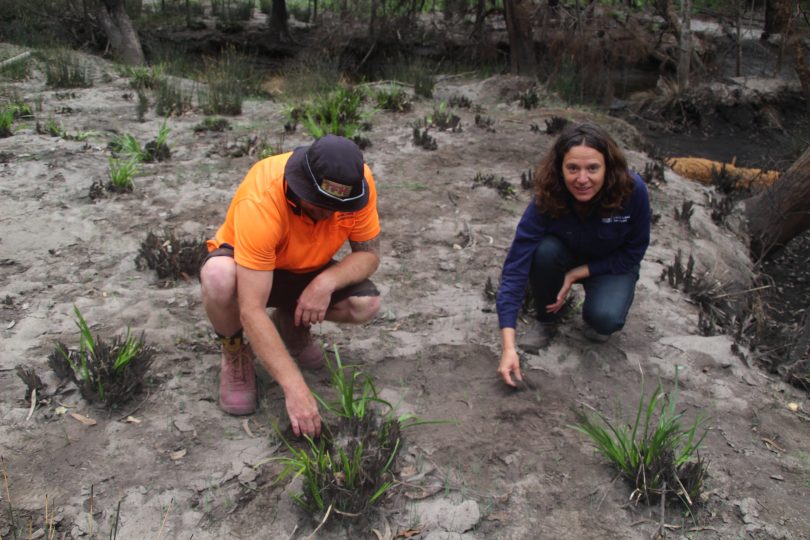 LALC Team Leader Andrew White with Sonia Bazzacco