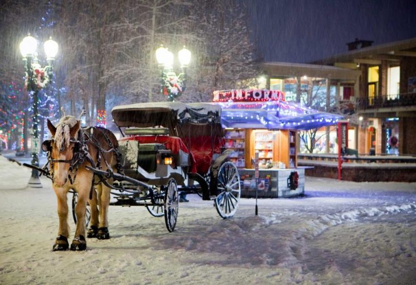 Horse-drawn carriage in snow on Aspen street at night.