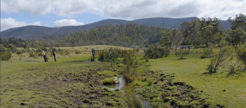 Land damage from wild brumbies in the Victorian Alps.