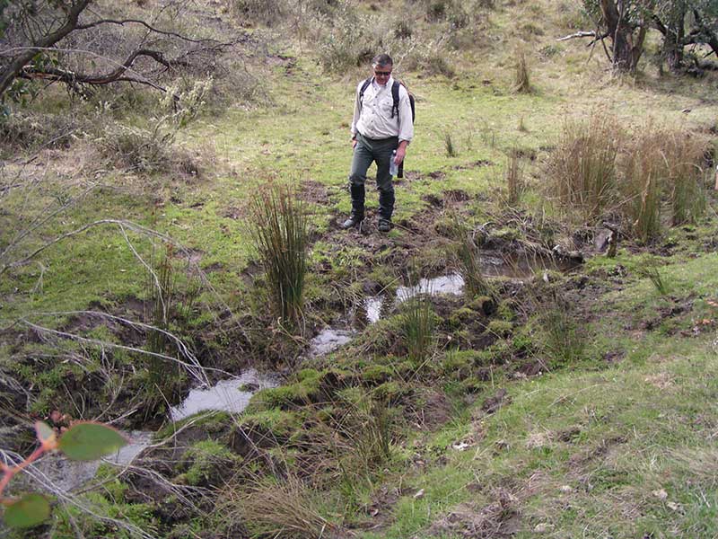 Parks Victoria inspector looking at land damage from feral horses.