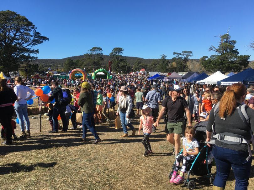 2018 Collector Pumpkin Festival