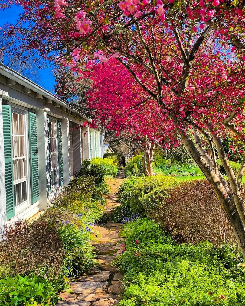 The garden at Markdale property.