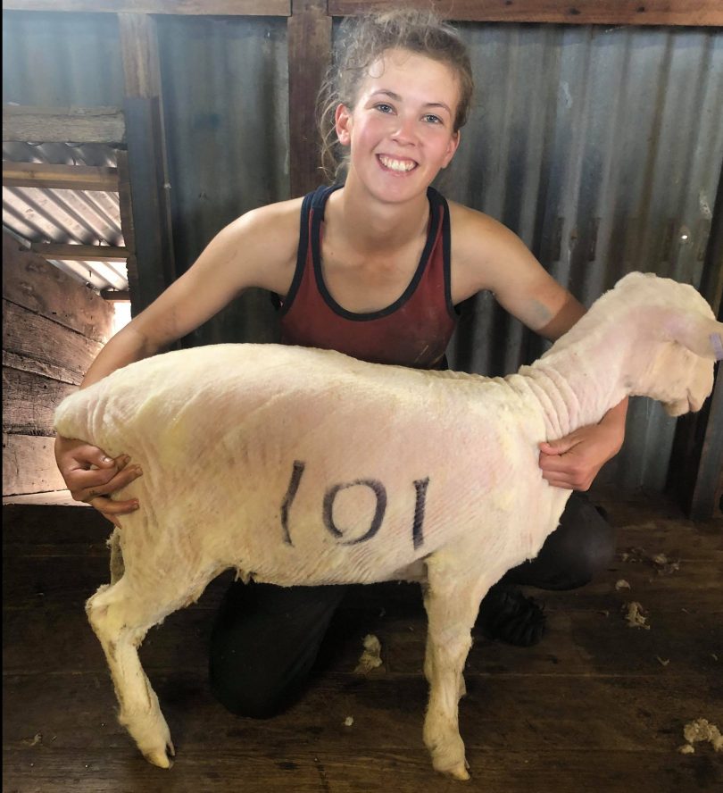 Joanna Treasure holding shorn sheep.