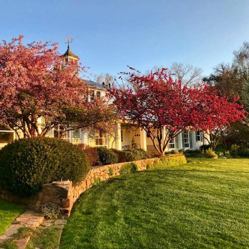 Gardens and homestead at Markdale property.