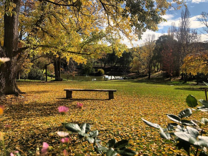 The grounds of Markdale property.