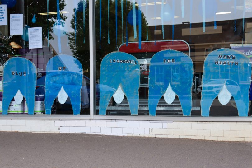 Blue adornments in Crookwell shop window.