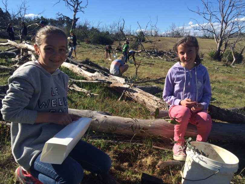 Young girls helping to restore ribbon gum trees.