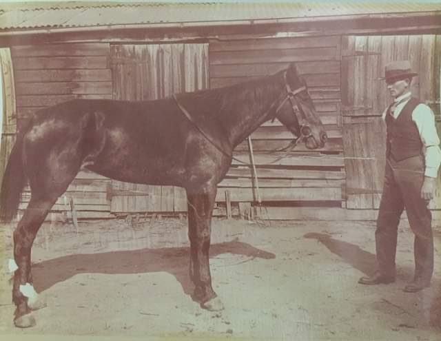 Harold Hewitt standing with his horse, Chips.