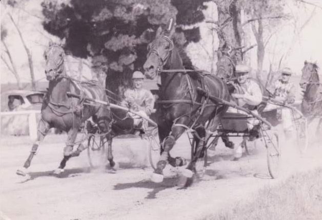 Historical photo of Thomas Hewitt and Goff Hewitt harness racing.