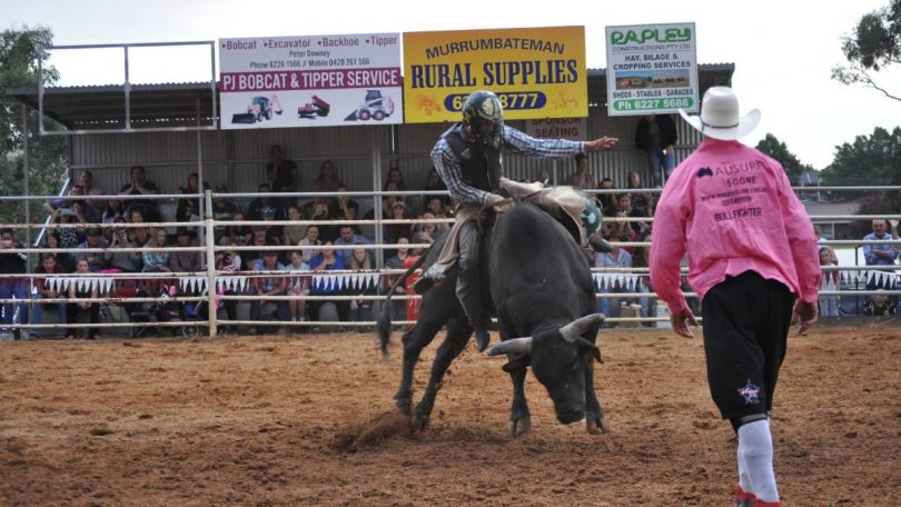 A bull rider and crowd at Yass Show.