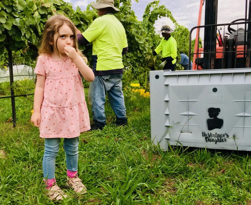 Young girl tasting grapes at Vintner's Daughter.