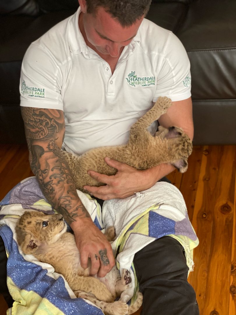 Mogo zookeeper Chad Staples with Maji and her late sister Moto.