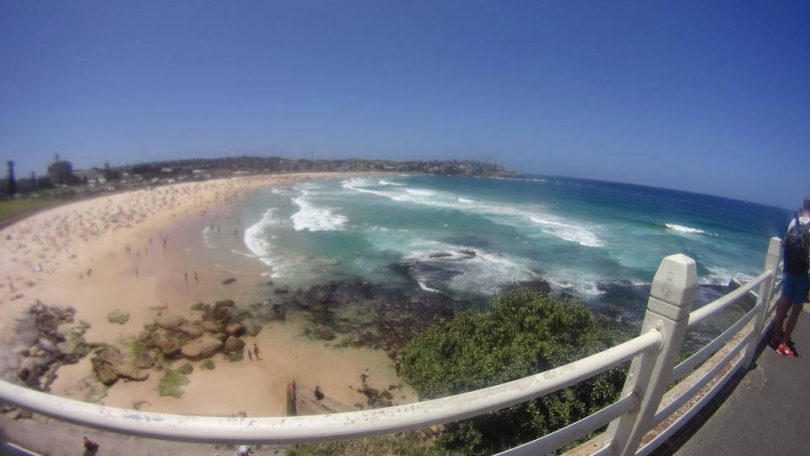 Bondi Beach