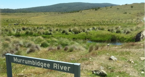 Murrumbidgee River on Long Plain in Kosciuszko National Park