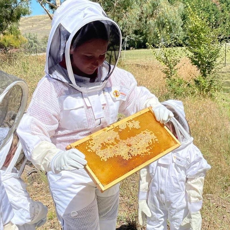 Student Stevie George in bee suit holding hive