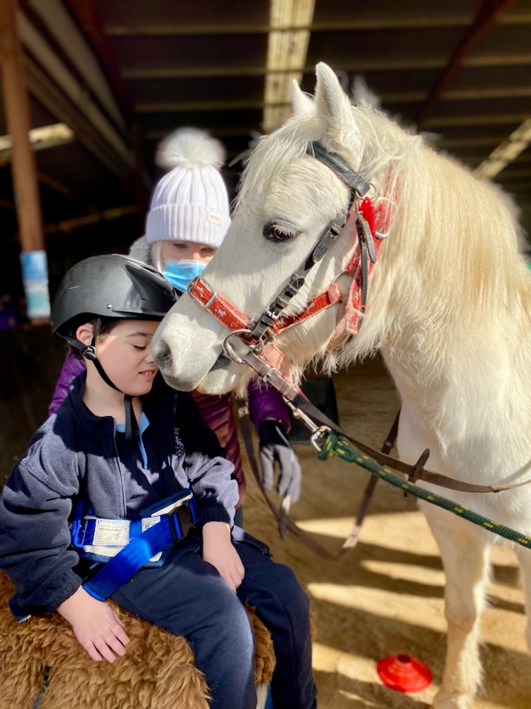 Horse next to young rider