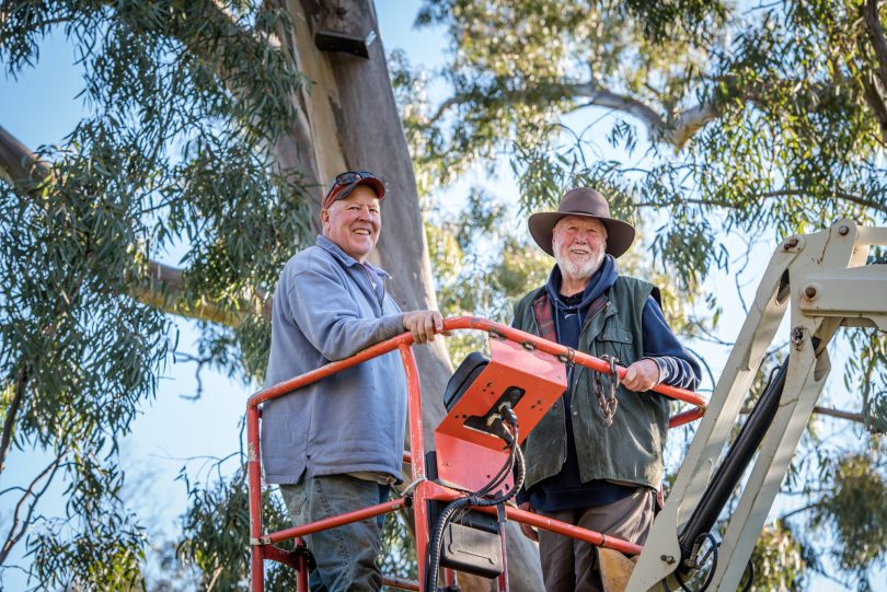 Neil and Ashley Hermes in cherry picker