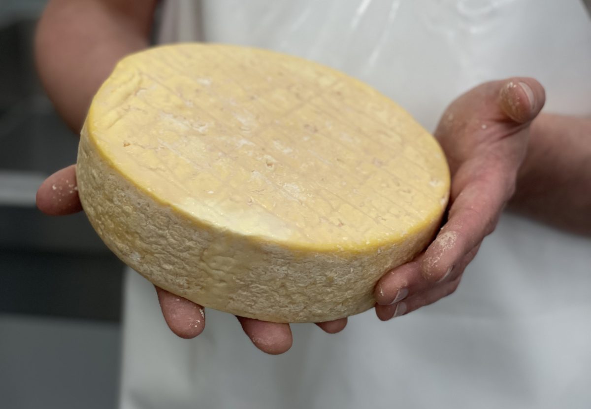 washed rind cheese wheel