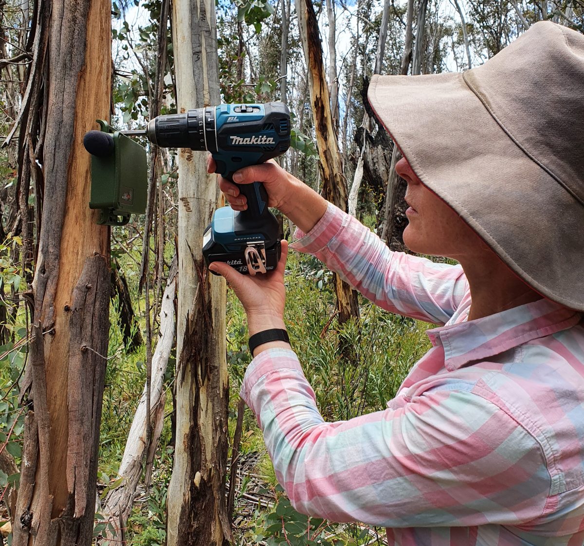 Researching setting up equipment in the forest