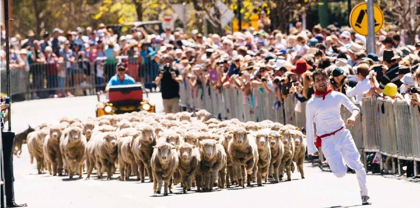 The Irish Woolfest