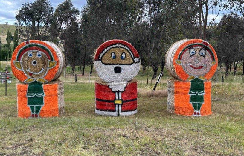 Christmas decorations on farm