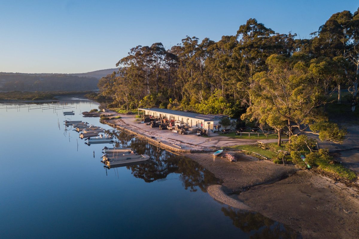 An aerial shot of Broadwater Oysters