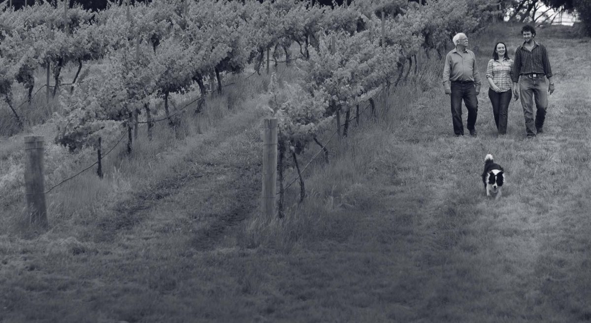 Three people walking through vineyard with dog