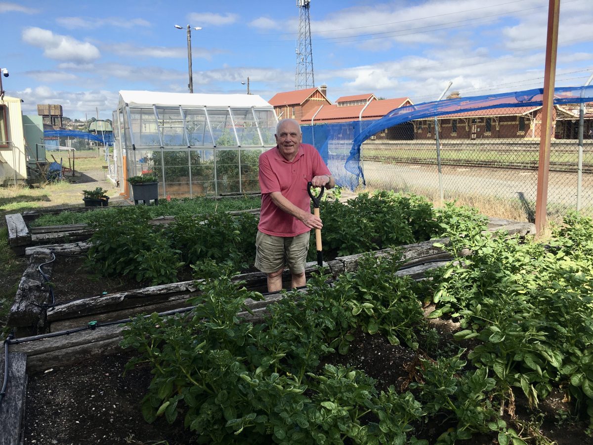 man in vegetable garden