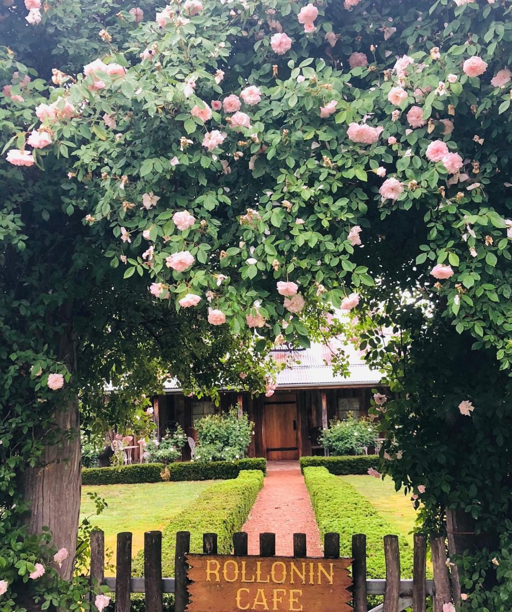 Old cottage viewed from gate