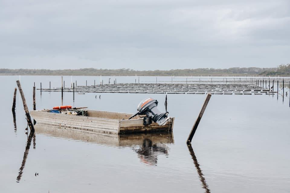 A tinnie sits idle before an oyster farm close to a long beach coast