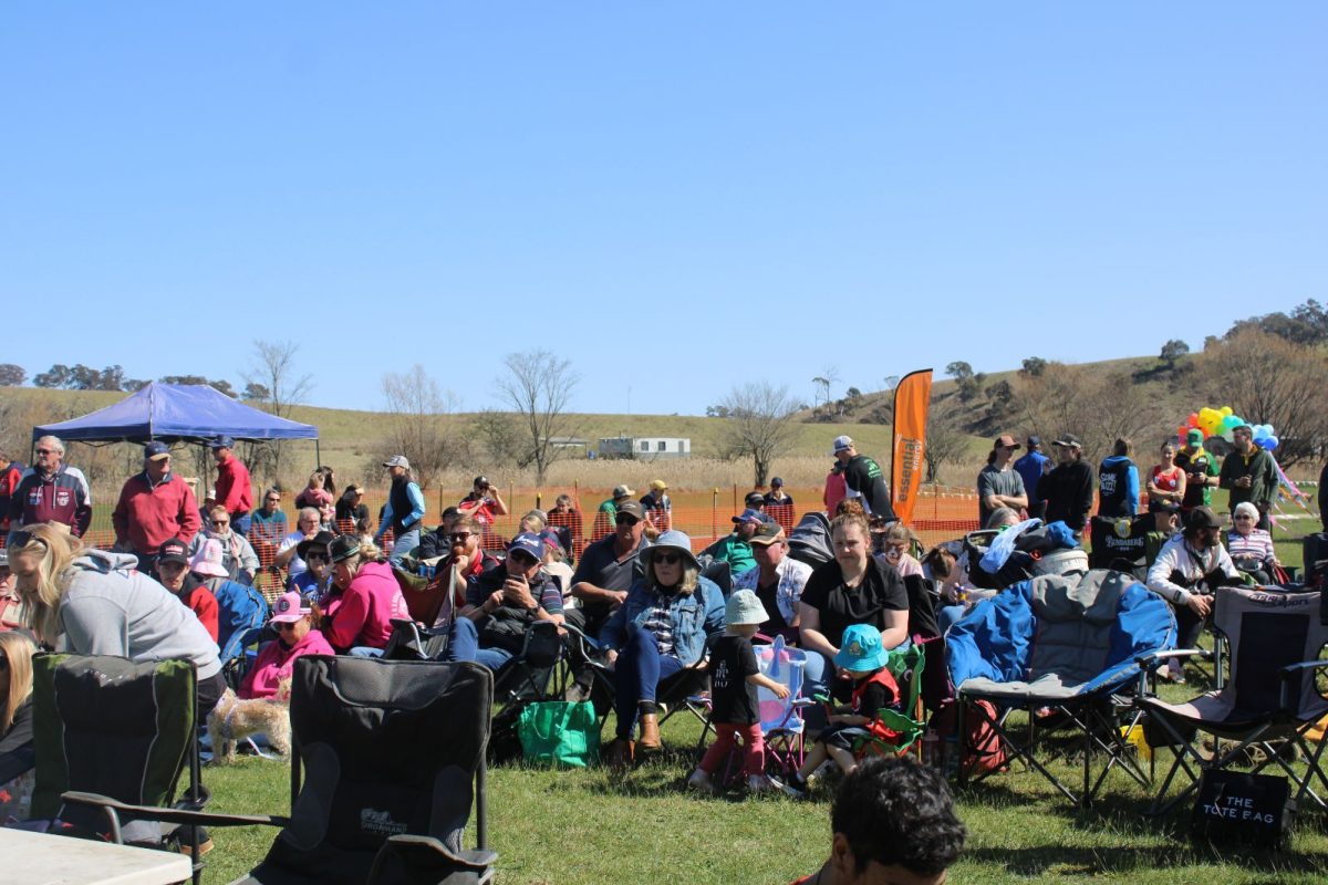 The inaugural Binda Quick Shear last year raised almost $10,000