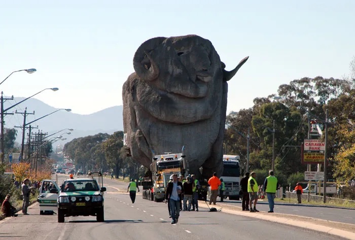 Goulburn's Big Merino being transported down the main street