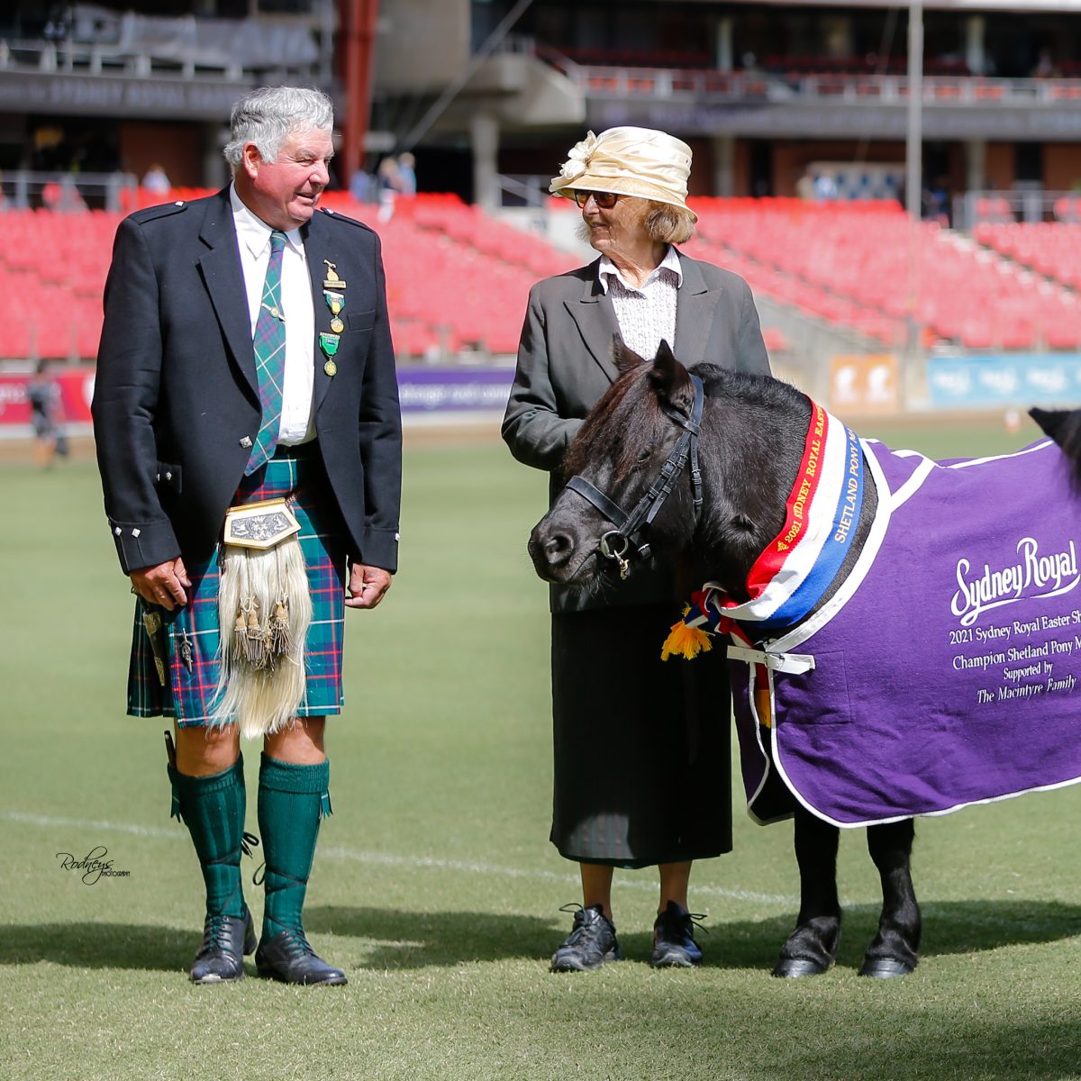 Goulburn stud trots into history with 70-year record of Royal Easter Show  competition | Riotact