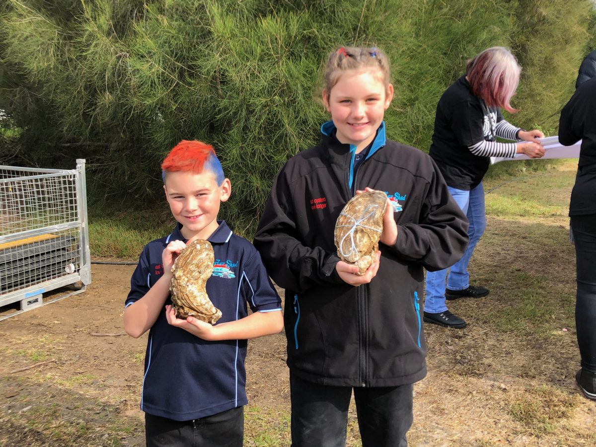 Riley Norris with ‘Aphrodite’ and Avia Norris with ‘Finneas’, both entrants in Australia’s Biggest Oyster competition. Photo: Marion Williams