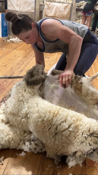 woman shearing