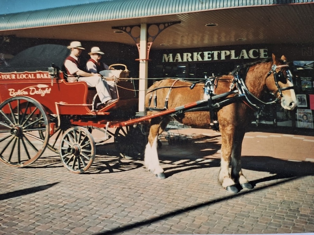Toby and Leicester delivered Santa Claus to Christmas parties at Windellama, brides to weddings and pulled Bakers Delight carts through towns whenever a franchise opened, including at Camden and Newtown. 