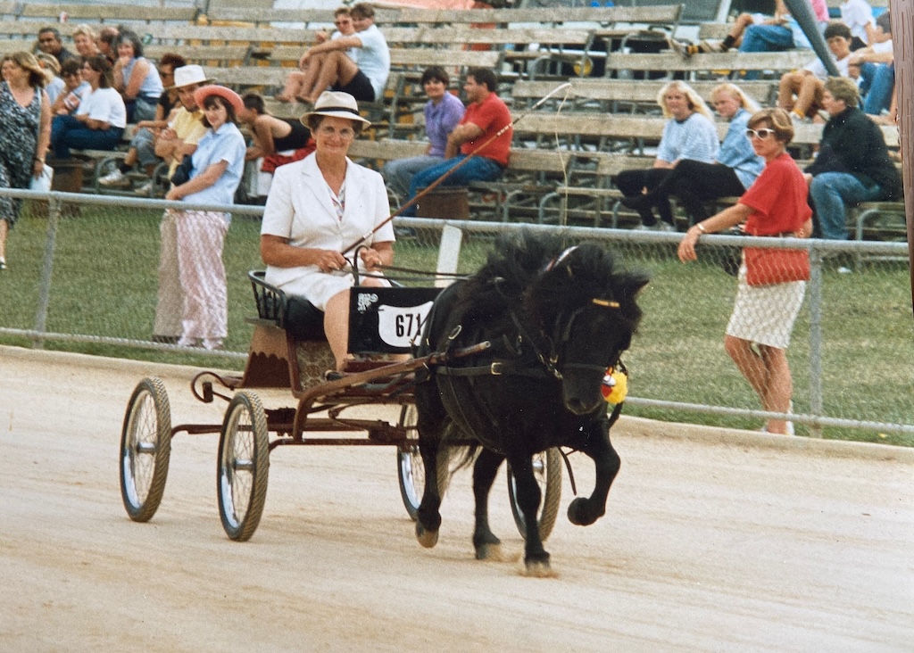 Driving at the Canberra Royal Show in 1990, Valmai Hunt became a regular winner in the show ring with her husband Eric, who made numerous vehicles for the ponies.