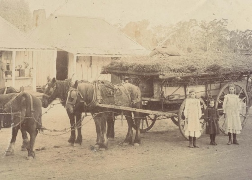 girls and with horses and cart in the 1880s