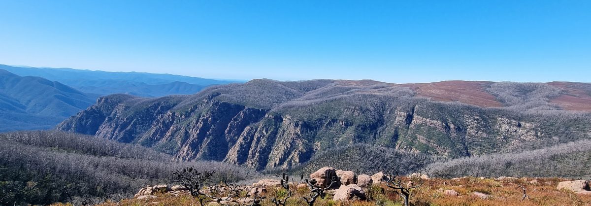 View from Wadbilliga over the gorge to the ocean after the Black Summer bushfires.