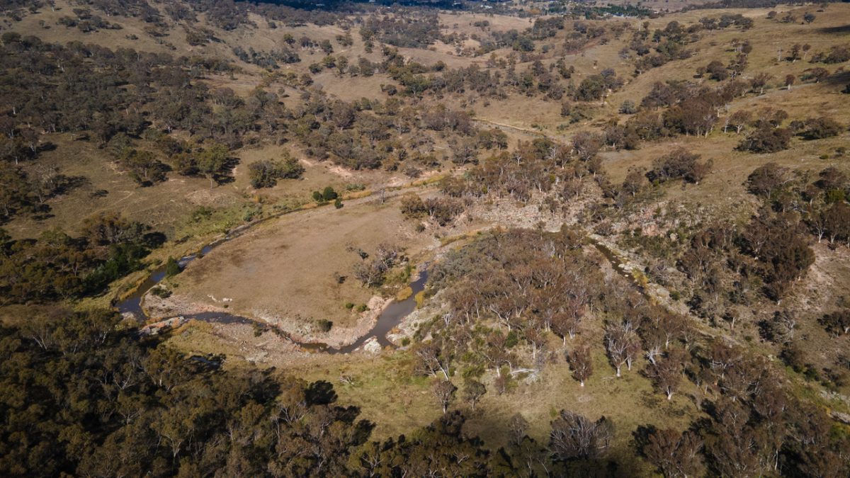 Aerial shot of Australian bushland