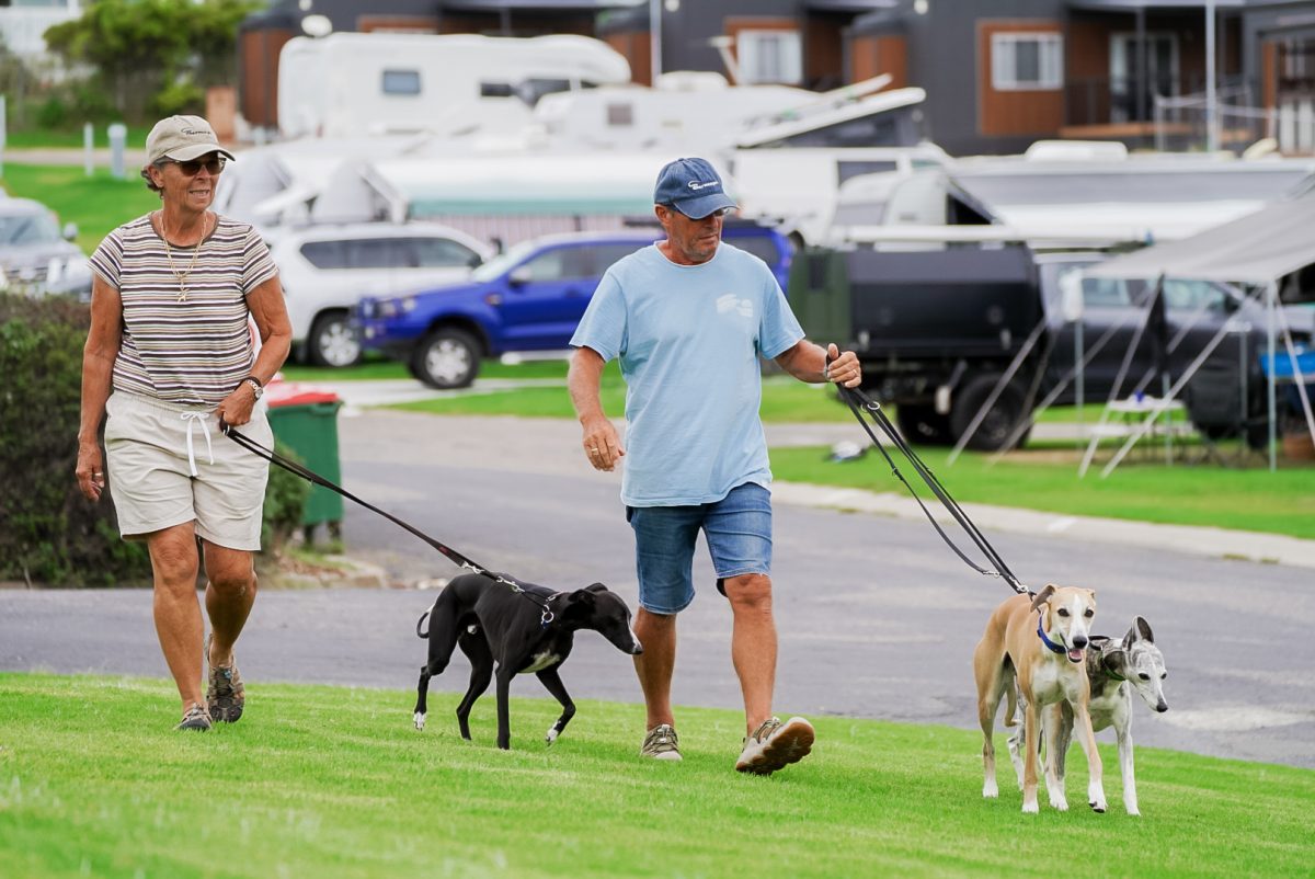 a woman and a man walking their whippets at a holiday park