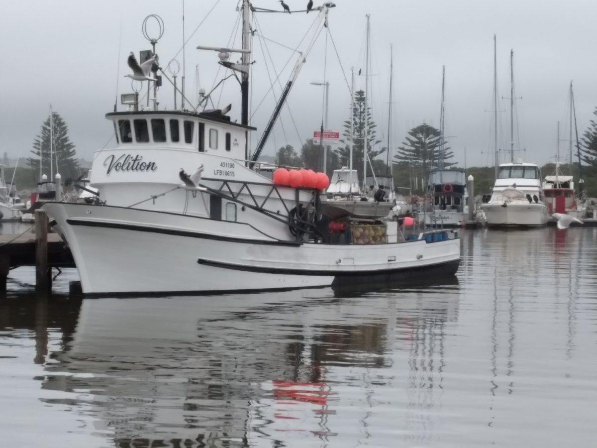 Built in 1972, Volition had been owned by two of Bermagui's most well-known fishing families - Jubb and Puglisi.