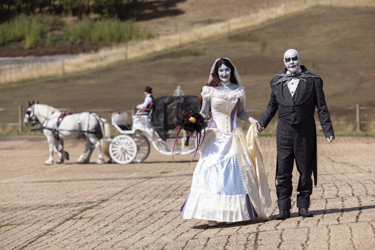 The bride and groom in costume