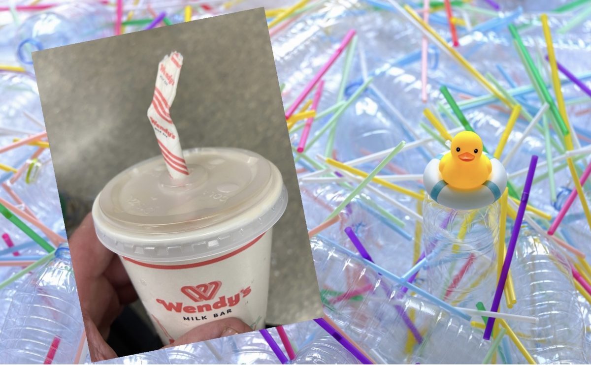 Thickshake inset with rubber duck on straws and plastic bottles