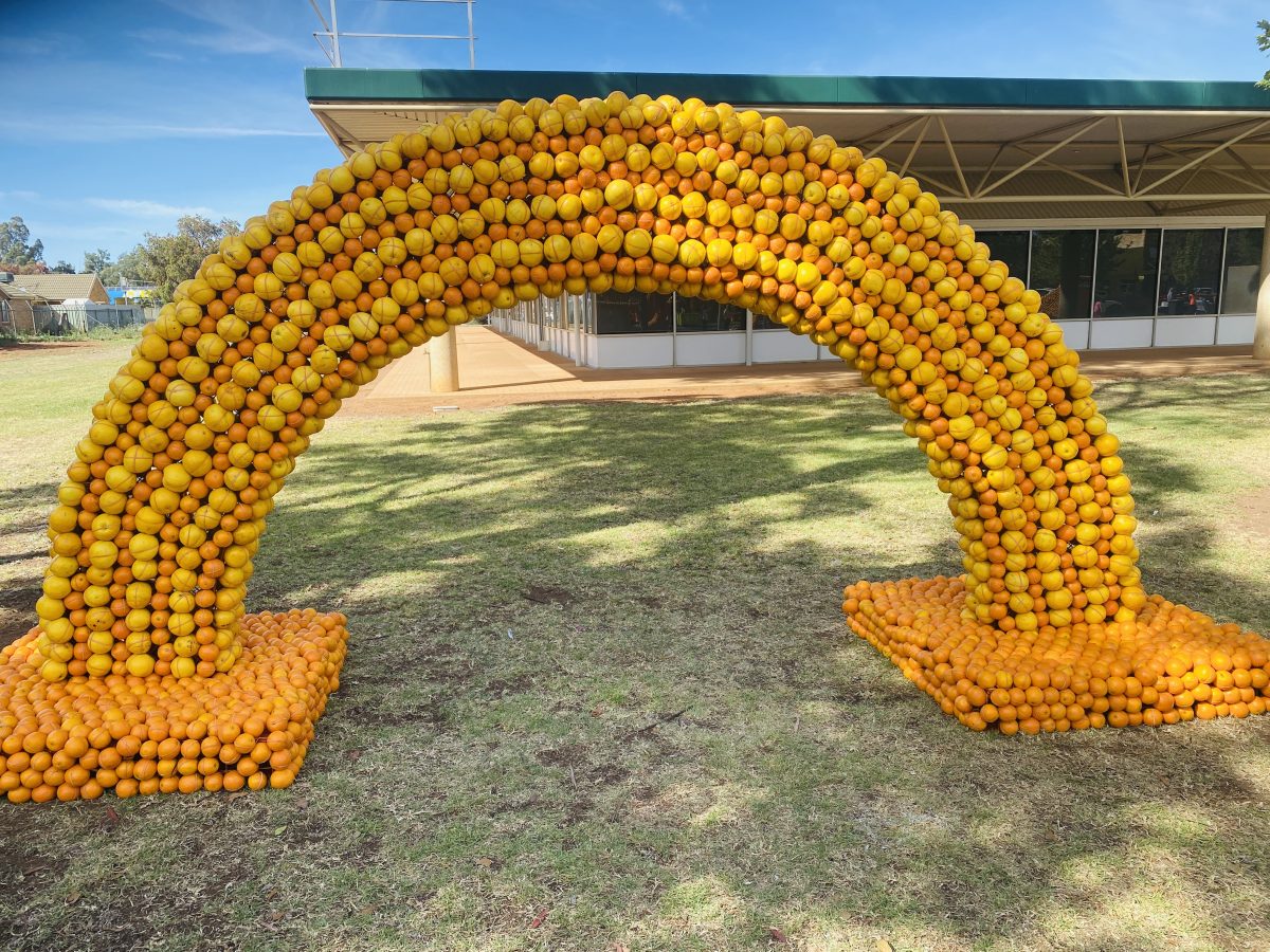 Citrus sculpture of a rainbow